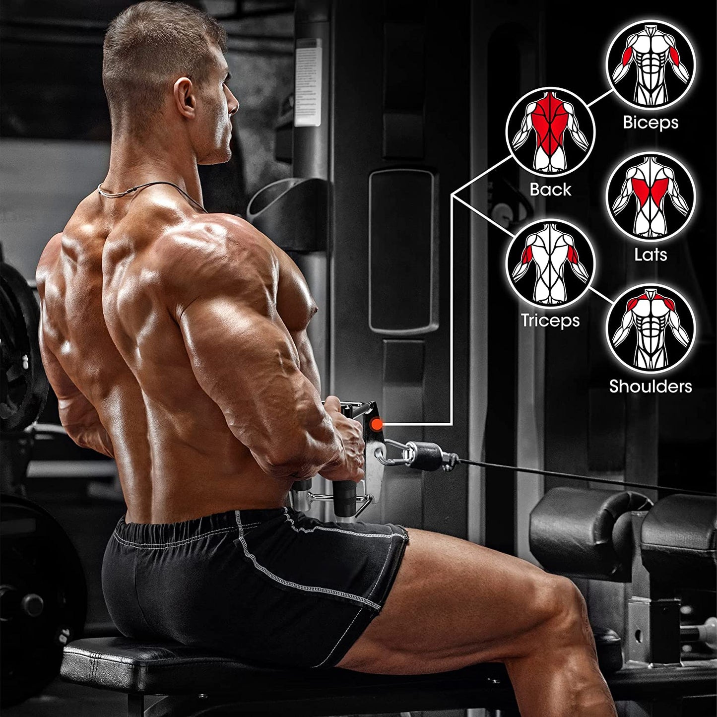 Tricep Press down Cable Machine Attachment Set, LAT Pulldown Attachment, Cable Machine Accessories for Home Gym